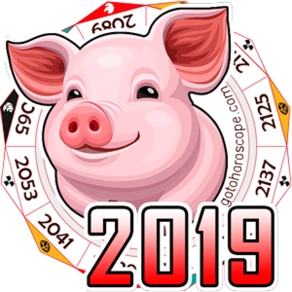 Китайский гороскоп 2019: что ждет человека родившегося в год свиньи