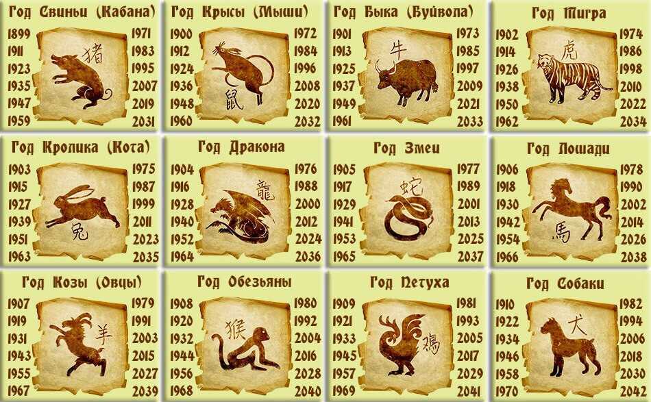 Гороскоп китайских (восточных) знаков зодиака по годам и цвету животных
