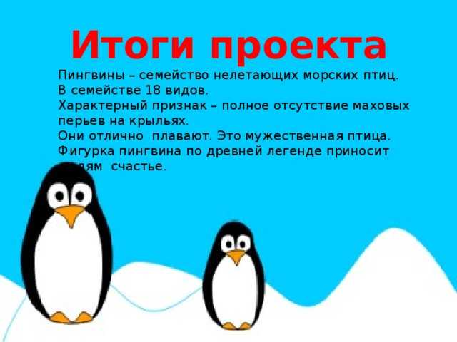 К чему снится пингвин: что значит видеть пингвинёнка, толкования сонников для женщин, девушек и мужчин