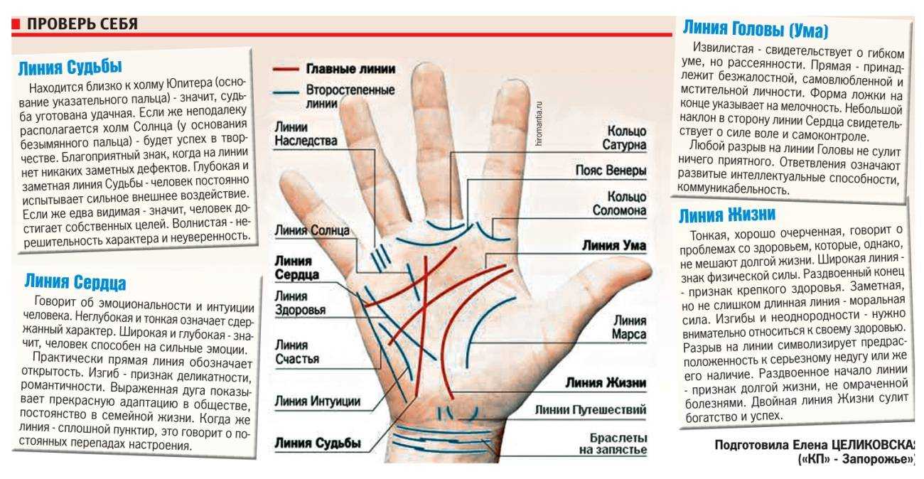 Толстые, длинные или кривые пальцы на руках — как узнать характер