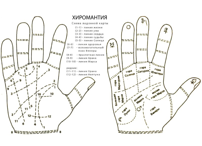 Длинные или короткие, толстые или кривые пальцы: как форма руки влияет на характер