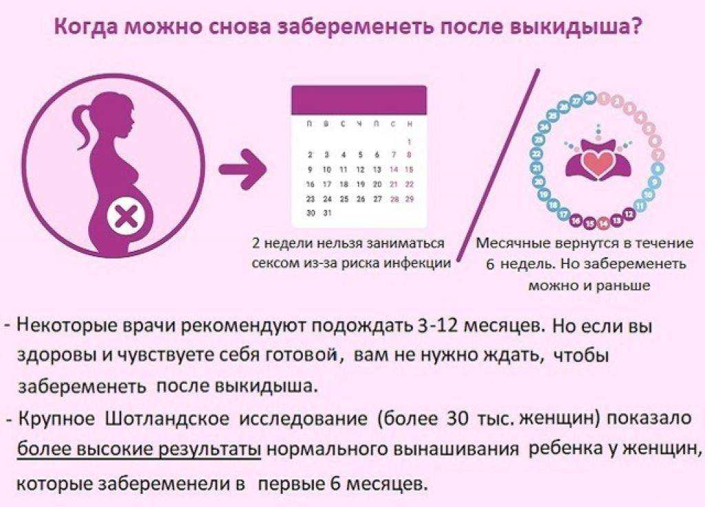 Зачатие через сколько наступает беременность