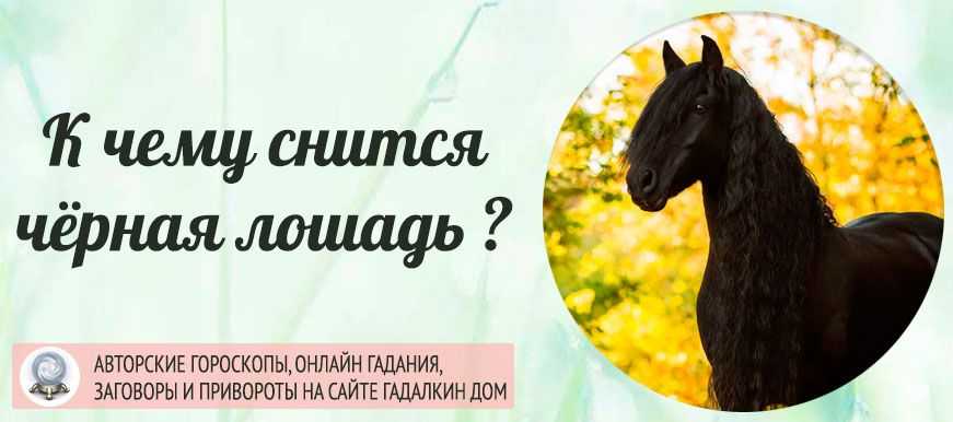 К чему снится конь: значения в сонниках. увидели во сне черного коня, что он символизирует, расскажут сонники