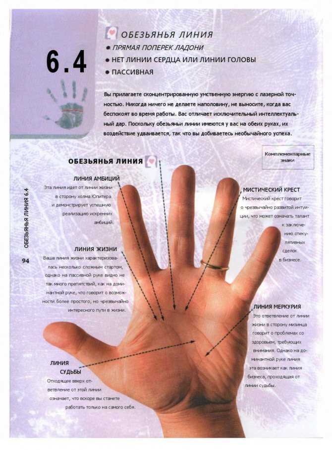 Линия солнца (аполлона) на руке - расшифровка с фото в хиромантии