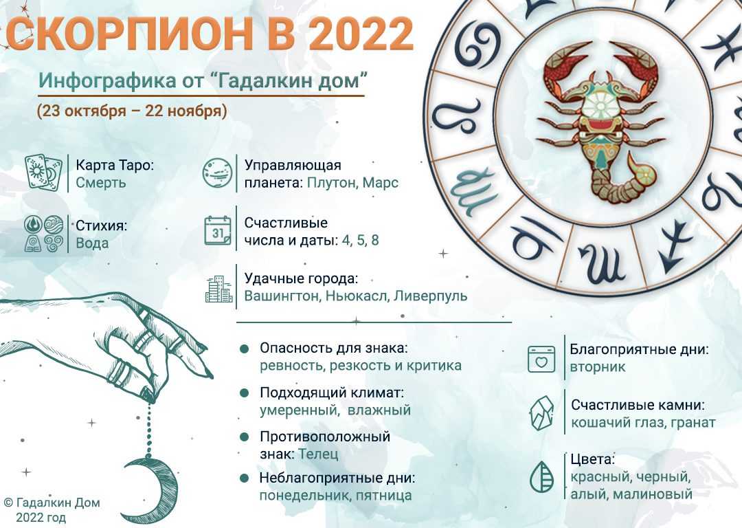 Гороскоп на 2023 год черного водяного кролика по знакам зодиака и по году рождения