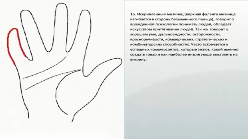 Характер по пальцам. как узнать характер по пальцам. что длина пальцев говорит о вашем характере | краше всех
