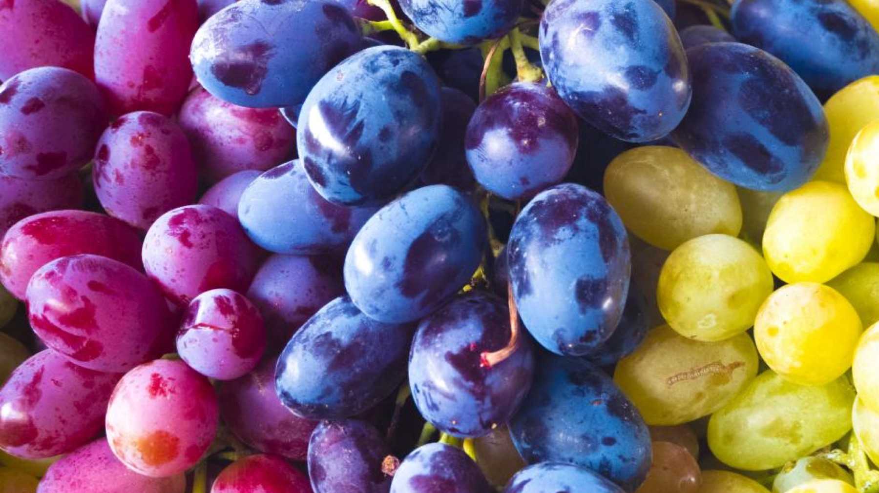К чему снится  виноград во сне — по 90 сонникам! если видишь во сне виноград что значит?