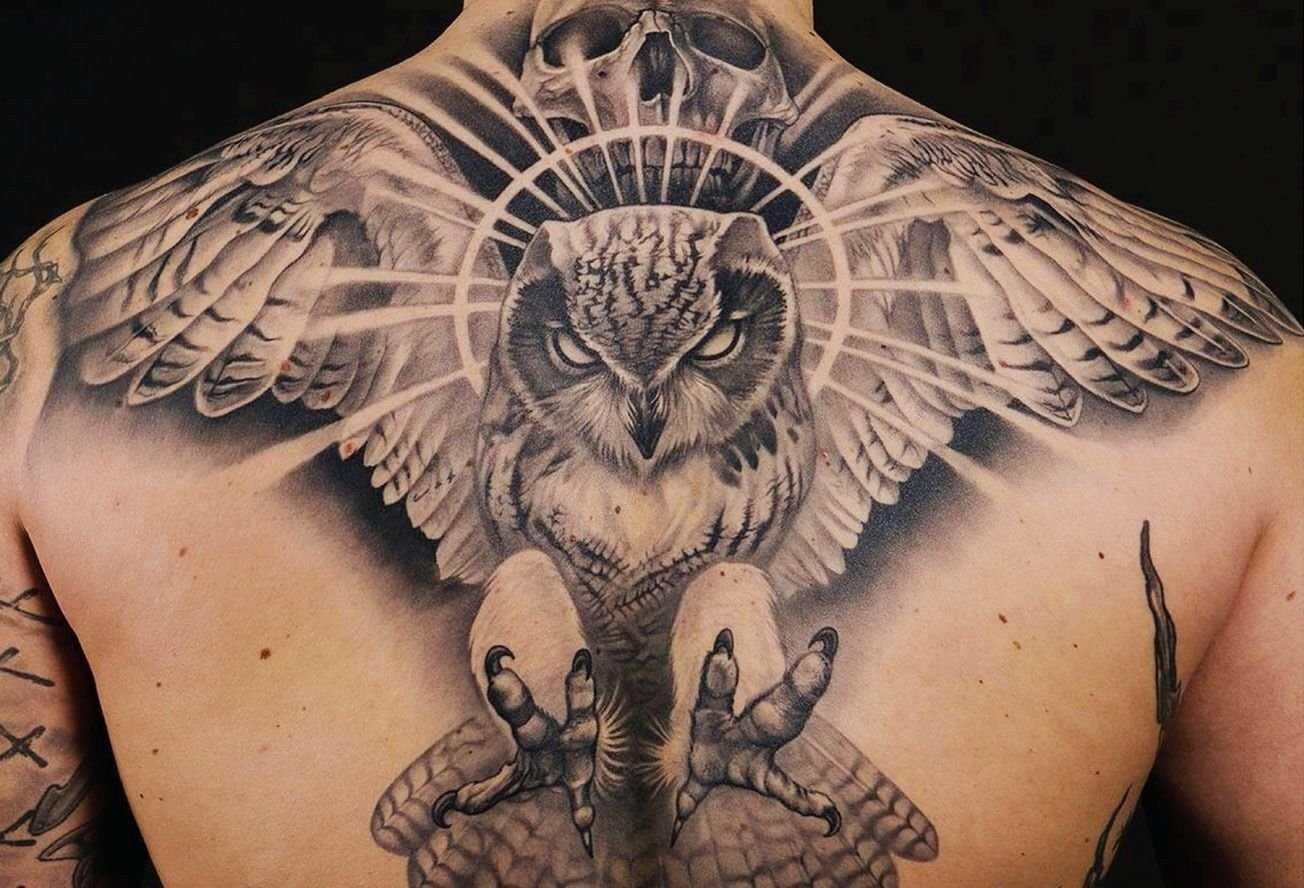 Татуировки мужские Сова на спине