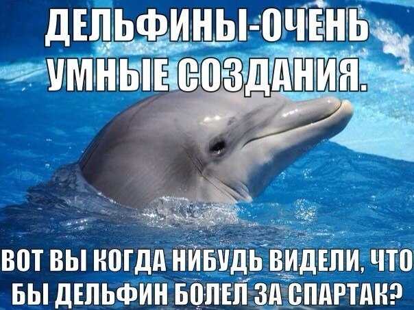 К чему снятся дельфины