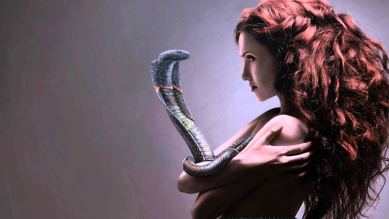 Убить змею во сне - к чему снится для женщины, мужчины по сонникам