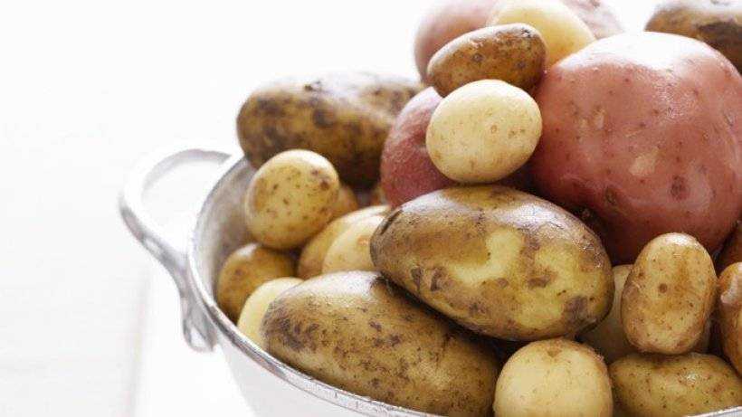 37 значений сна про крупную картошку
