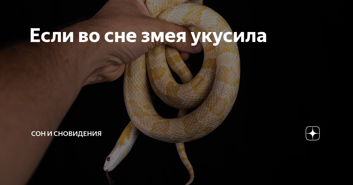 Magiachisel.ru: сонник.что означает когда снится змея. к чему снится змея. видеть это во сне.