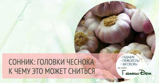 Сонник чеснок, к чему снится чеснок, во сне чеснок