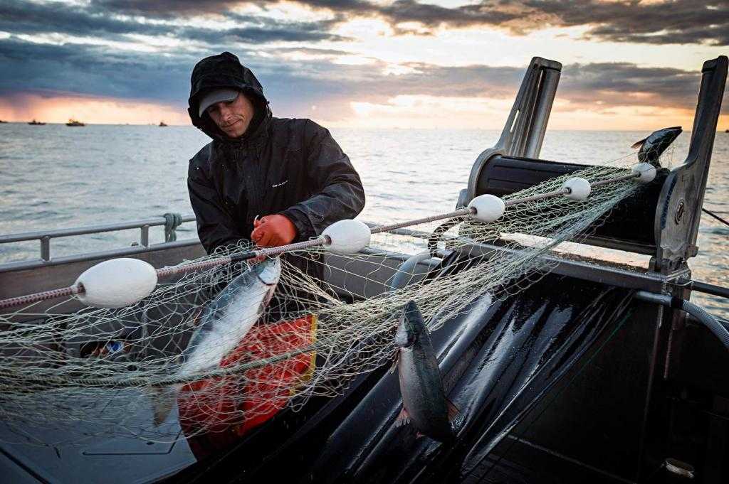 Сонник ловить рыбу мужчине