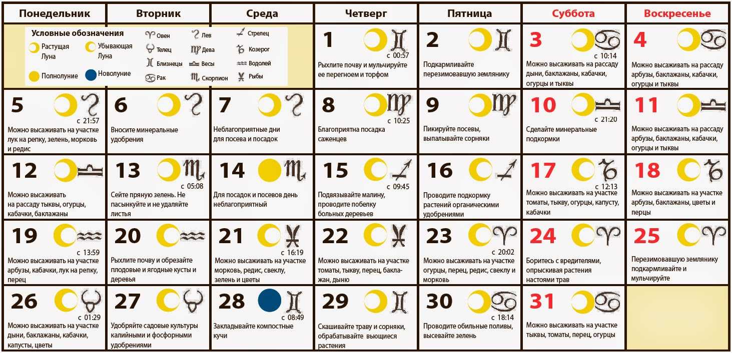 10 лунный день – подробное описание и характеристика этих суток